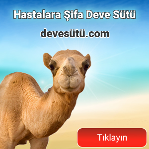 deve sütü