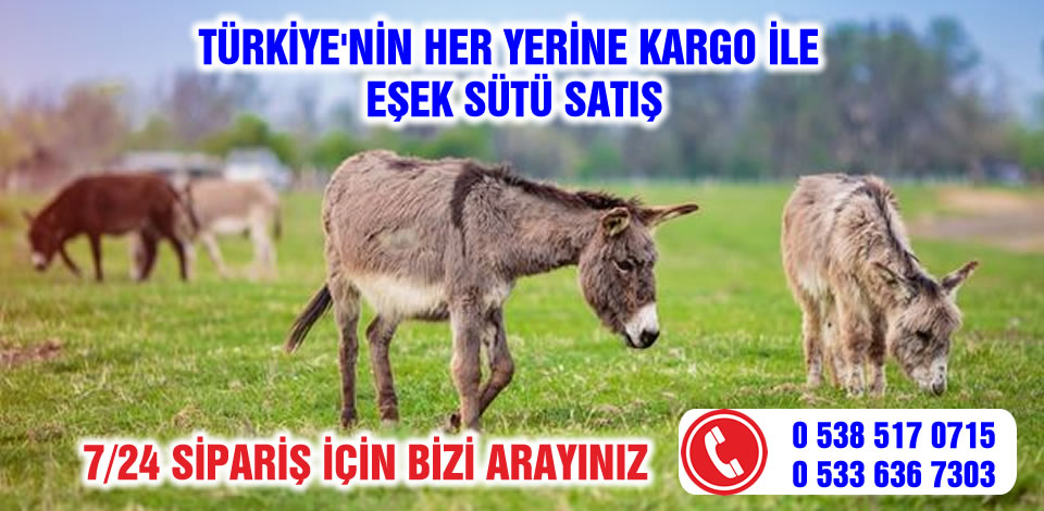 Eşek Sütü Satış - Türkiye'nin Her Yerine Eşek Sütü 0533 636 7303